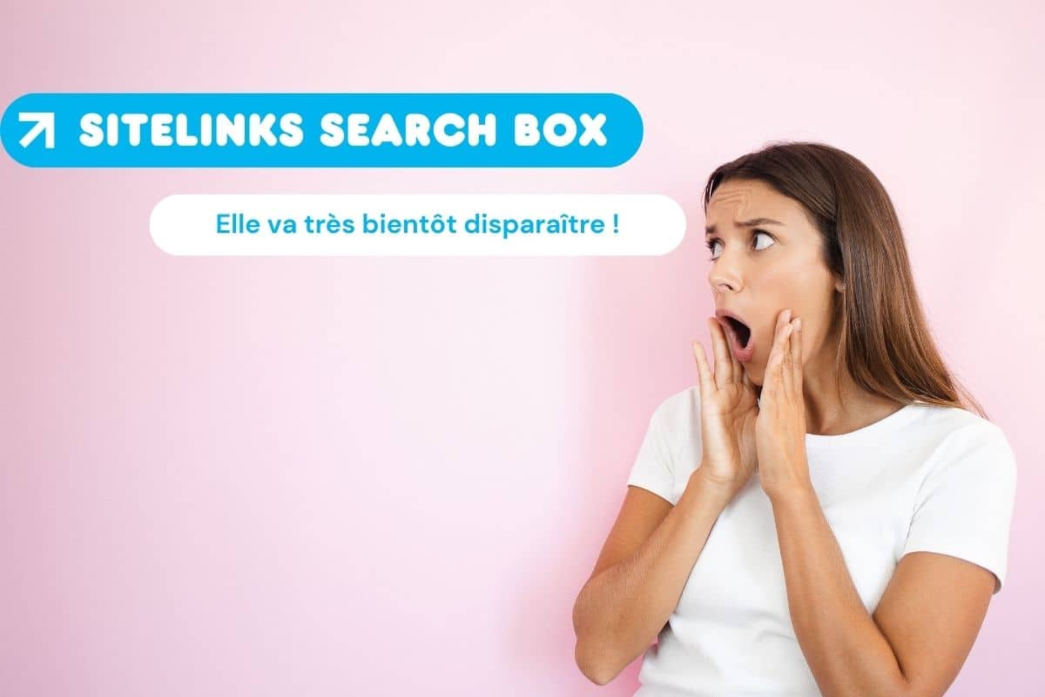 La sitelinks search box va bientôt disparaître de Google !